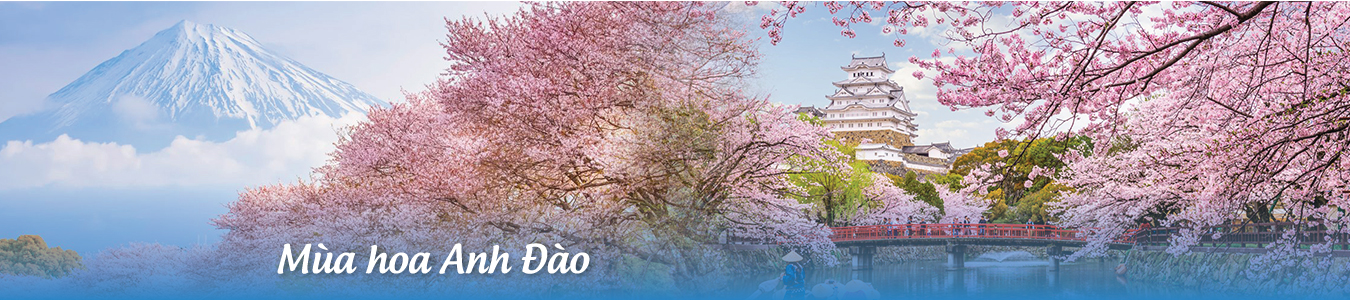 Nhật Bản Hoa Anh Đào