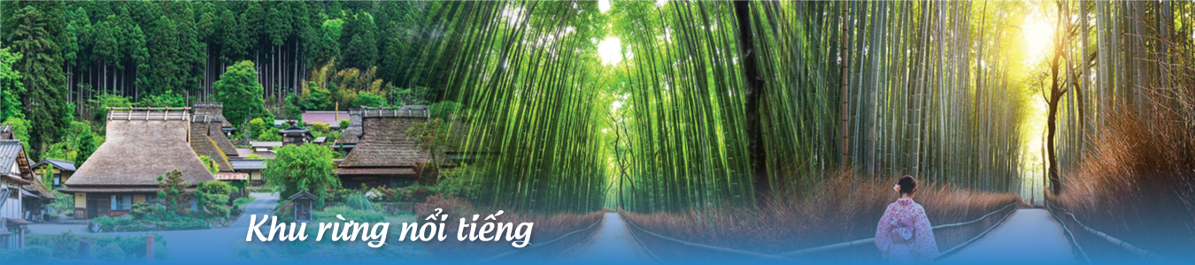 Khu rừng nổi tiếng